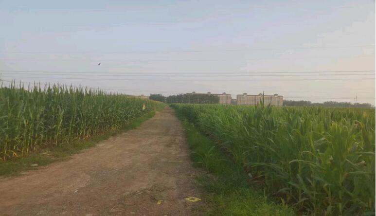 7F51