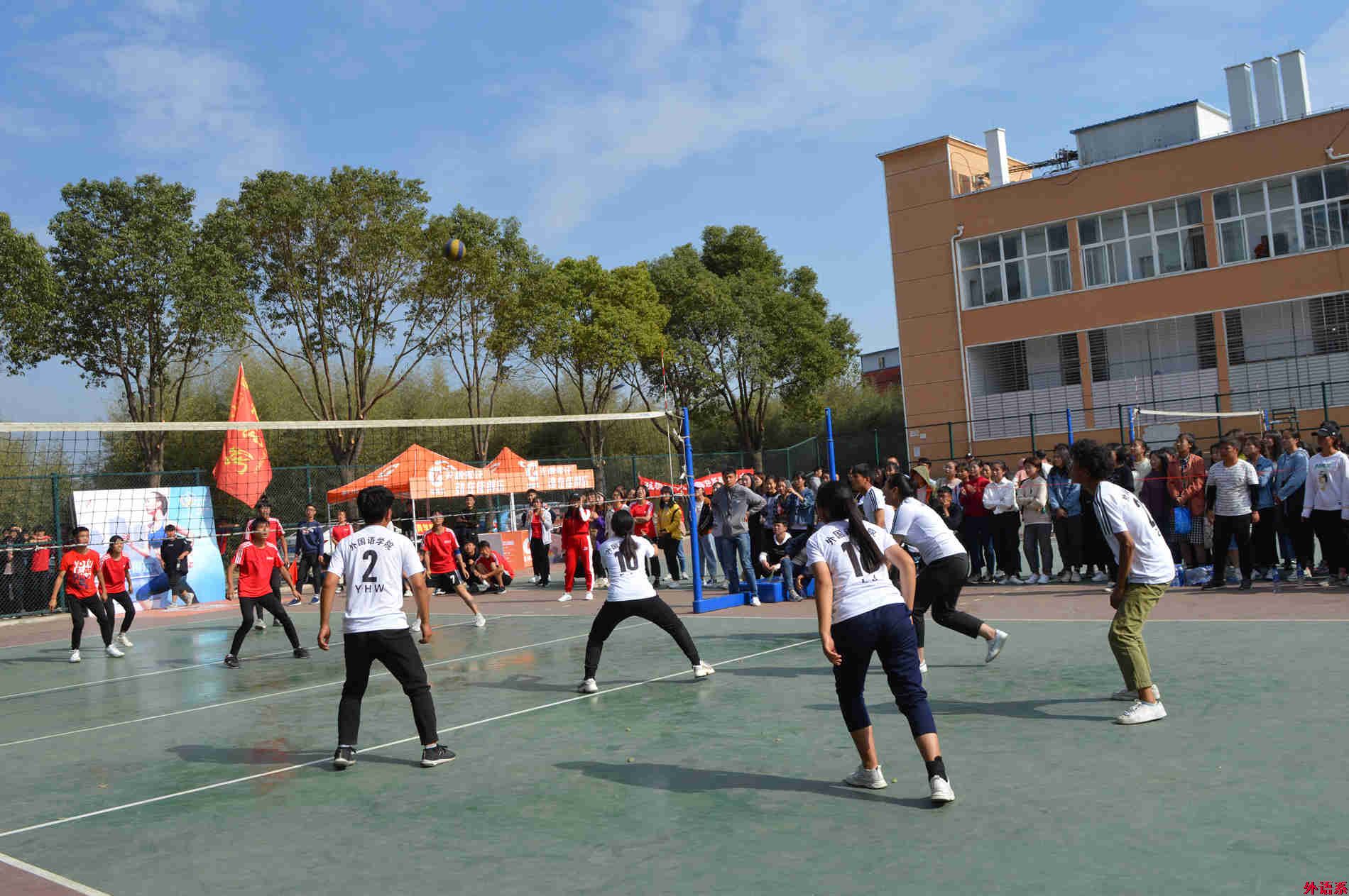 球速体育在2018年校迎新排球赛中获得佳绩