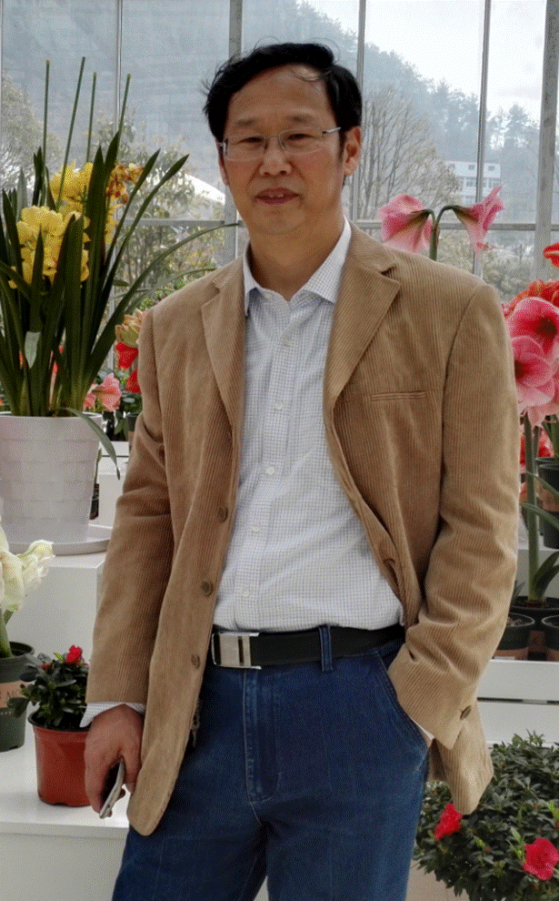 说明: C:\Users\梁书荣\Desktop\外国语行政\球速体育基本情况\外国语荣誉、科研、评估、实验室、展板等宣传材料\2020招生宣传材料\图片部分\团队力量\张弛.png